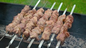 Seven metal skewers with delicious. bite sized morsels of pork. barbecuing over the smoky coals. Pork Kebabs on the Grill. 4k UltraHD video