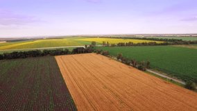 Aerial view of agrarian fields.