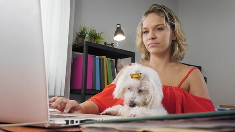People, pets and love for animals. Young woman sitting at office desk, doing a conference call on skype. She holds her little dog and shows it to the webcam.