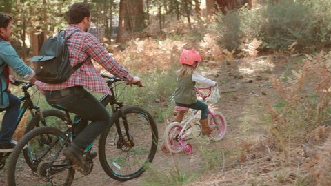 Male couple and daughter in a forest cycle past, back view