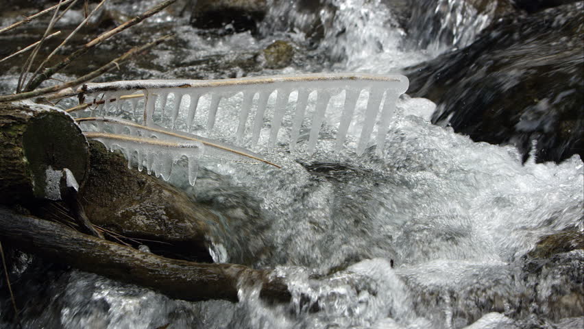 View of icicles on branch in small creek as water flows.