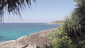 Gentle breeze stirs the fronds of a tree. over a tropical. rocky. beach paradise with a bold. blue horizon. FullHD 1080p video