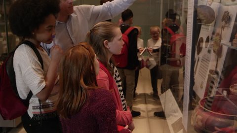 Students Look At Objects In Cases On Museum Trip Shot On R3D