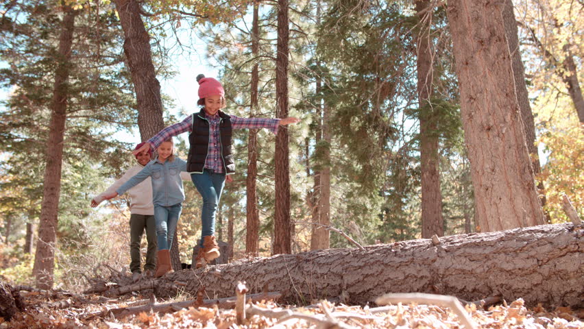 Three kids balancing on a fallen tree in a forest Royalty-Free Stock Footage #17944240