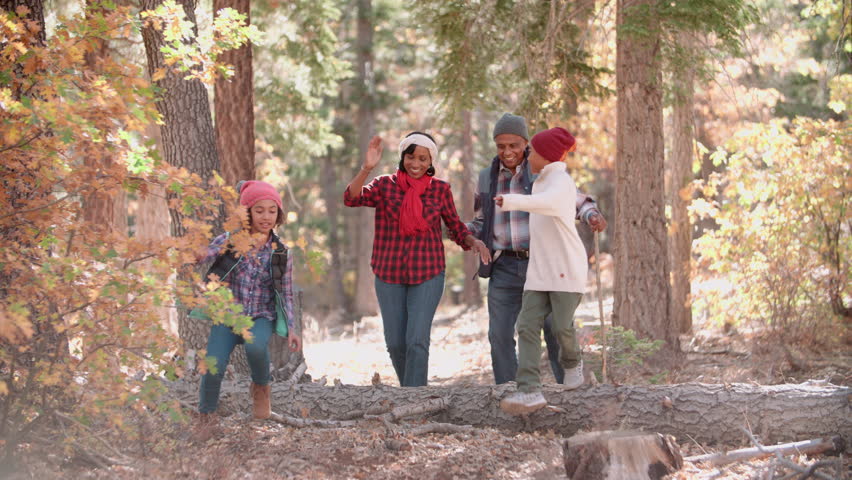 Grandparents hiking in a forest with grandchildren Royalty-Free Stock Footage #17944276