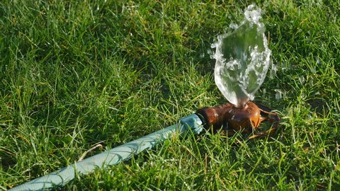 FOUNTAIN GREEN, UTAH JULY 12, 2016: A red lawn sprinkler attached to a green hose provides early morning water to a lawn while morning sun light the water from behind. Close up - 4K