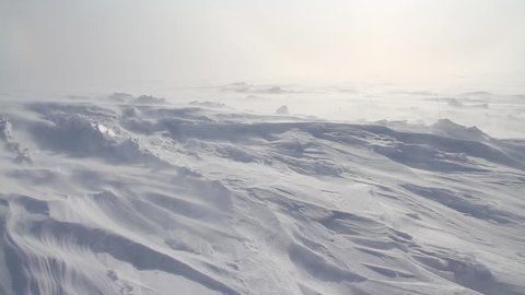 Arctic Storm, Arctic Blizzard, Snow Drift, High Wind, white storm. Arctic Blizzard. Arctic storm. Polar winter. Snow Storm. Hard Winter. Blowing Wind. Powder Snow. Snow Drift. Extreme Temperature