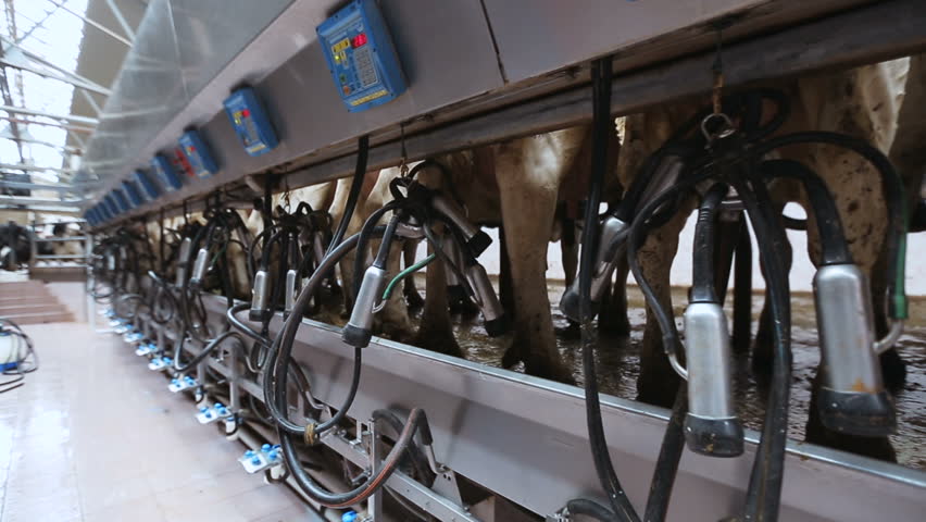 Farm equipment for milking cows | Shutterstock HD Video #17969080