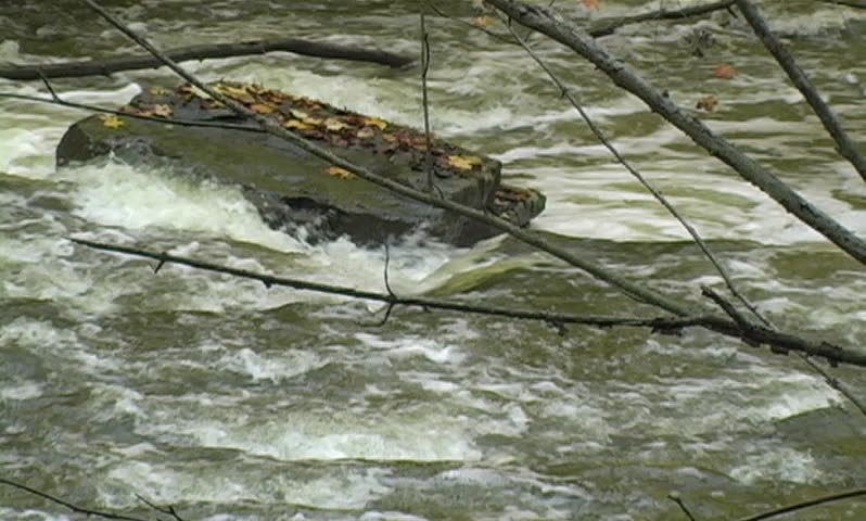 River running fast through a forest closeup