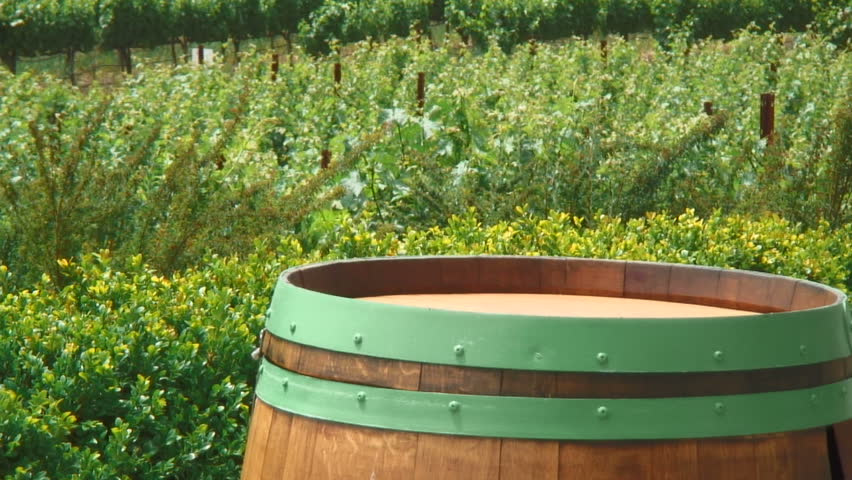 Wine Barrel and Vineyard, Napa Valley