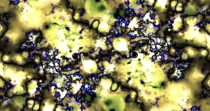 Abstract Microscopic Forms Pulse And Flow Video Background