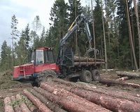 Special cargo truck with crane unload logs from truck. Forest fell. 