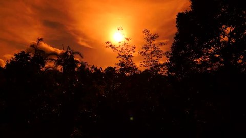 Silhouet forrest and orange sky, Amazonas, Brazil, 2015