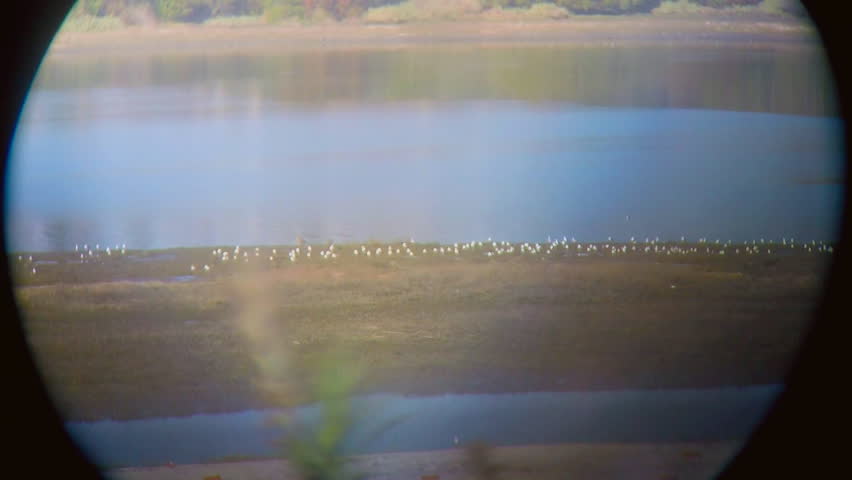 NEWPORT BEACH, CA/USA: May 27, 2016- A unique view through telescopic lens of the wetlands at Newport Beach California Back Bay area. This view captures birds around the conservation area.