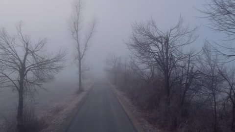 AERIAL: Country road leading through dark creepy fields with scary broken bare trees on a dark foggy winter day
