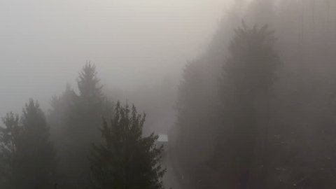 AERIAL: Cars driving along dangerous narrow road through creepy foggy forest in dark misty winter. Driving in bad weather conditions with poor visibility