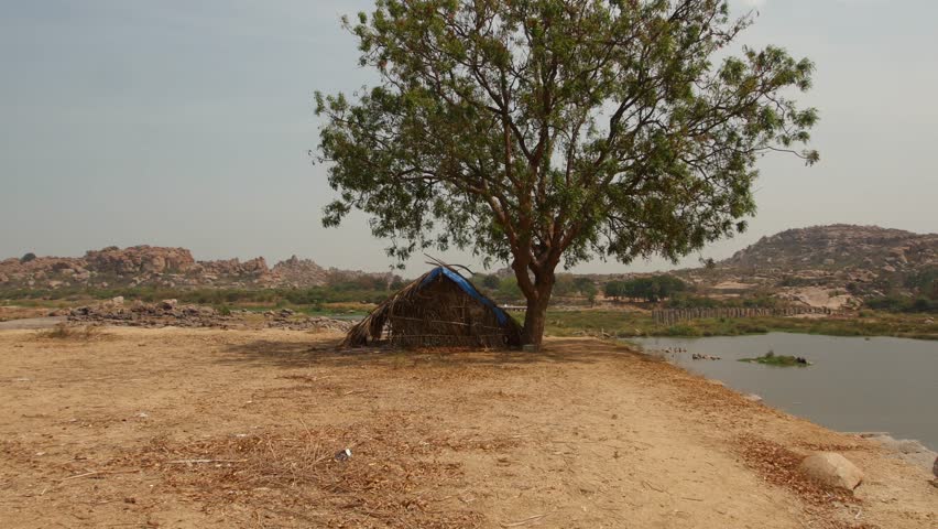 India, hut of twigs in the field