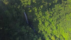 4K UHD Top down aerial video of Tamarin Falls Waterfall (Seven Cascades) - Mauritius, Curepipe, near Black River Gorge National Park