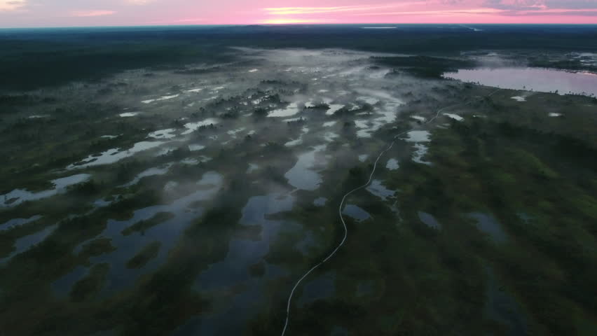 Aerial Drone Shot over Vast Swamp Area at Foggy Morning.