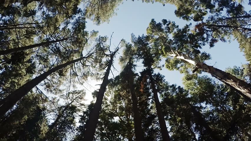 Young friends on a hike in slow motion