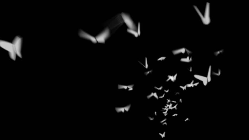 Pictures Of Moths Flying