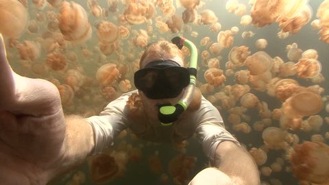 Snorkeler in Jellyfish Lake, Palau Stock Video