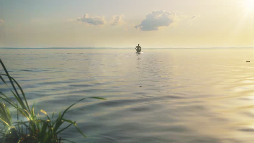 Man playing with dog in surfboard KYIV 14 JUNE 2016