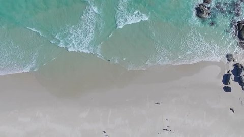 Smooth aerial pan over Noordhoek beach with a running dog, Cape Town, South Africa - Full HD Drone Footage.