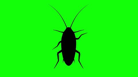 Fixed Cockroach on green screen, CG animated silhouette, looping