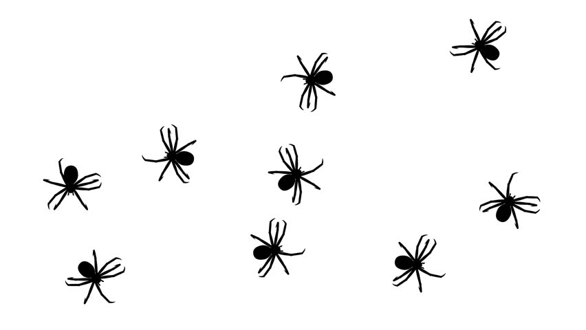 swarm spiders cg animated silhouettes on Stock Footage Video (100% ...