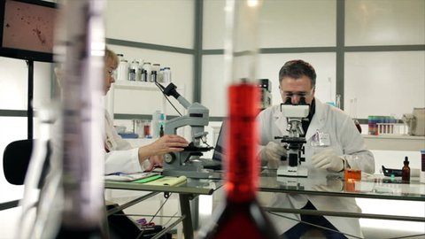 A woman and man who appear to be scientists or chemists working in a laboratory using microscopes and discussing findings. Slow dolly movement past colorful objects in the foreground.