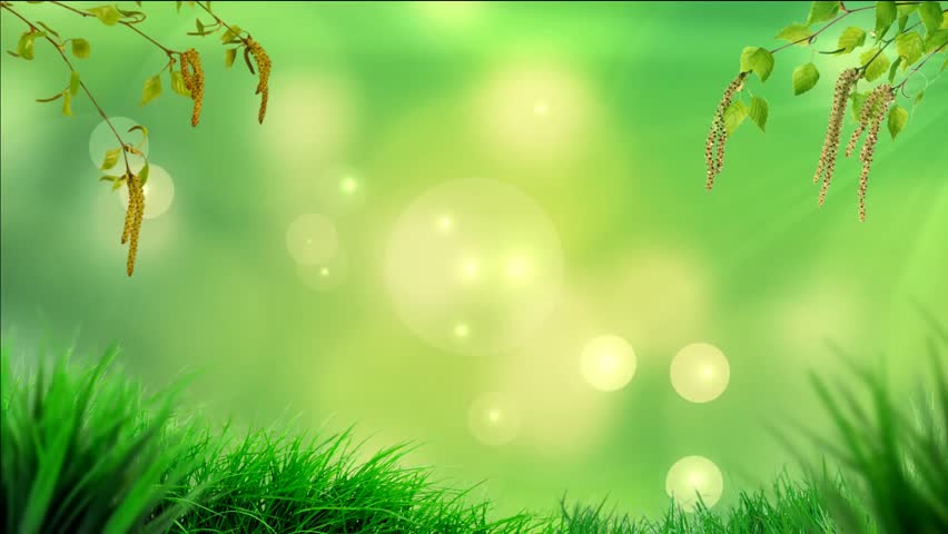 Animated Spring Video Background. Animated Stock Footage Video (100% ...