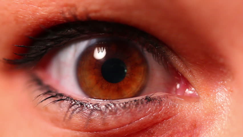 A close-up of an eyeball.  Macro shot.