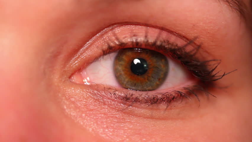 A close-up of an eyeball.  Macro shot.