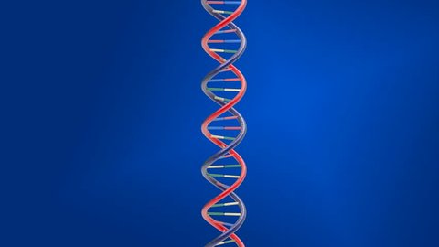 Rotating DNA string on blue background