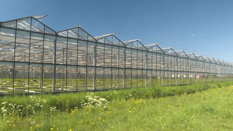 AERIAL, CLOSE UP: Flying next to beautiful modern glass greenhouses on sunny spring day with blue sky in background. Fresh green vegetables, seedlings and flowers growing in horticultural facility