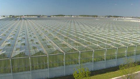 AERIAL: Flying above beautiful vast modern plantation of stunning glass greenhouses on sunny spring day. Organic cultivation of natural and fresh vegetables in horticultural district of Rotterdam