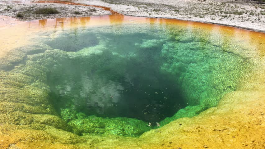 morning  glory  pool, yellowstone   national park
