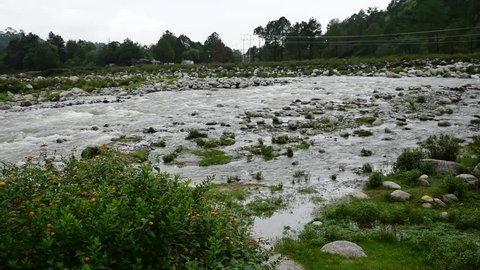 Pure fresh Himalayan river in full flow with lot of greenery on the banks