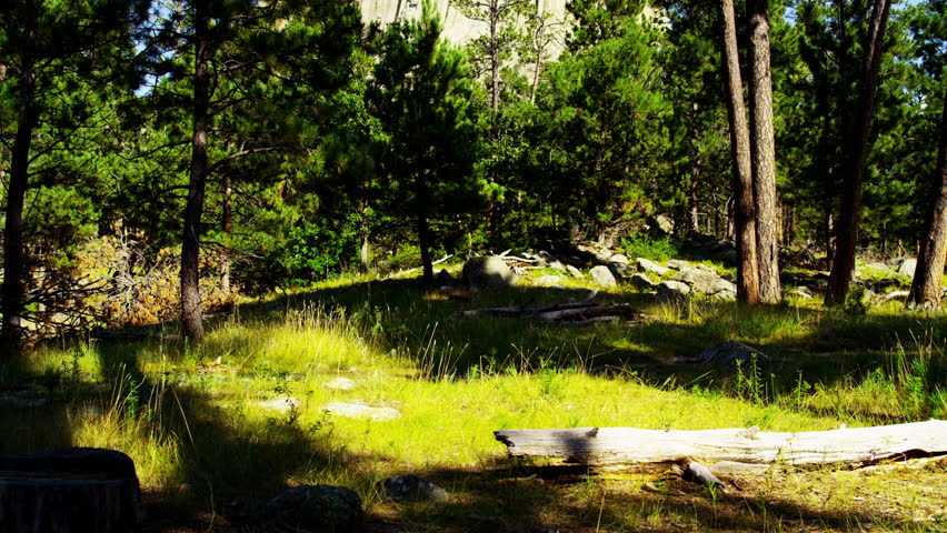 Devils Tower Monument Wyoming Black Hills USA