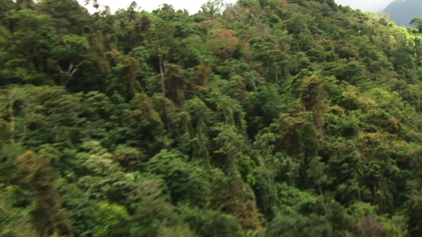 HD: Helicopter flight over jungle mountain