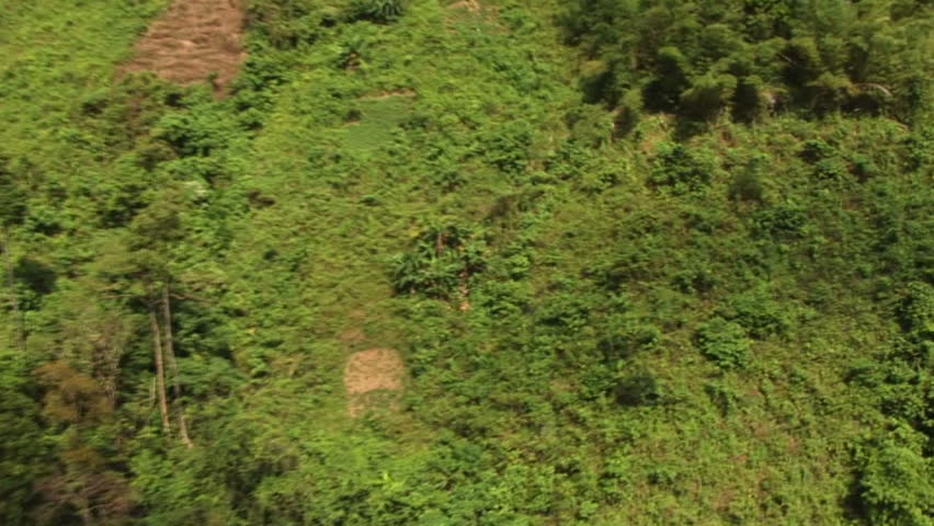 HD: Flyby of jungle village in the Philippines #2