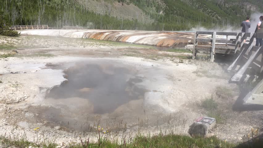 geyser basin, yellowstone   national park
