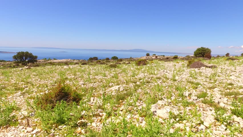 Dried landscape, little green surfaces, some bushes, clean blue sky, hot summer day.