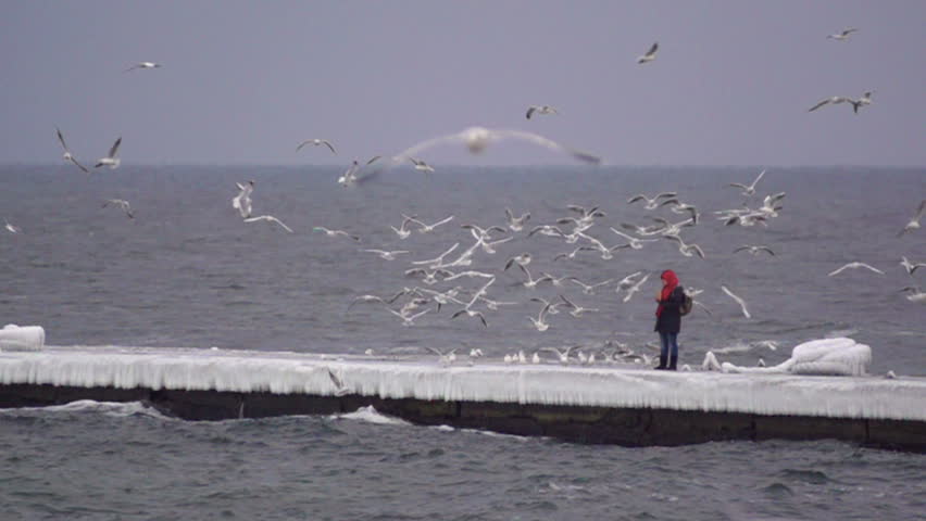 People standing on the pier with seagulls. Slow motion.