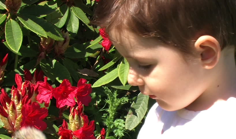 child playing with flower