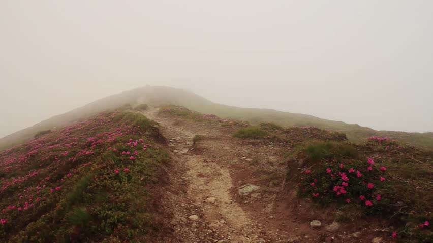 Woman hiking alone in the foggy mountains early in the morning. Mountain top covered with dense mist before the rain