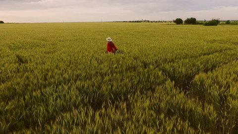 Young beautiful girl with foxy hair in red dress and hat walking in field. Slow motion. Aerial view.