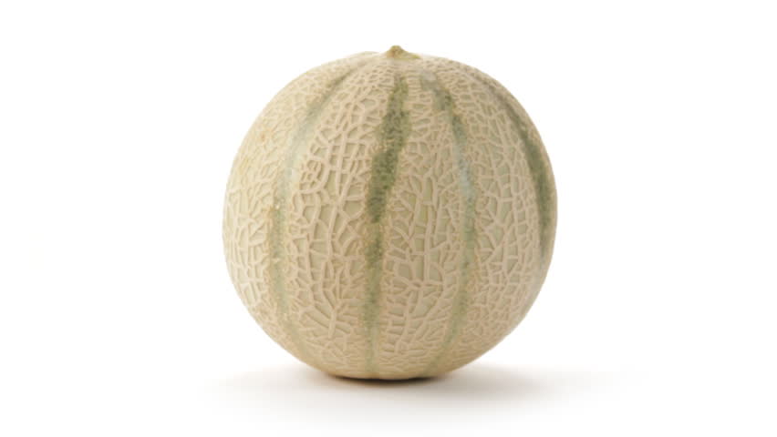 Cantaloupe melon rotating