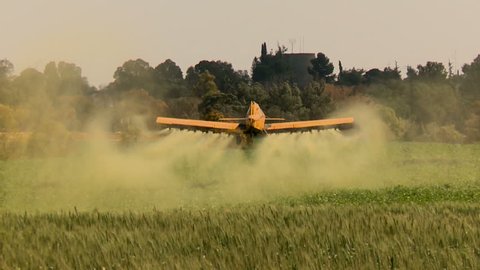 Mishmar A Negev, Israel - November 12 , 2012: Aircraft. Yellow crop duster , agriculture aircraft  flies low over a field with wheat and splashing, sprays chemicals against pests .  with sound.